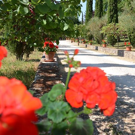 الشقق الفندقية أميليافي  Casale Santa Caterina المظهر الخارجي الصورة