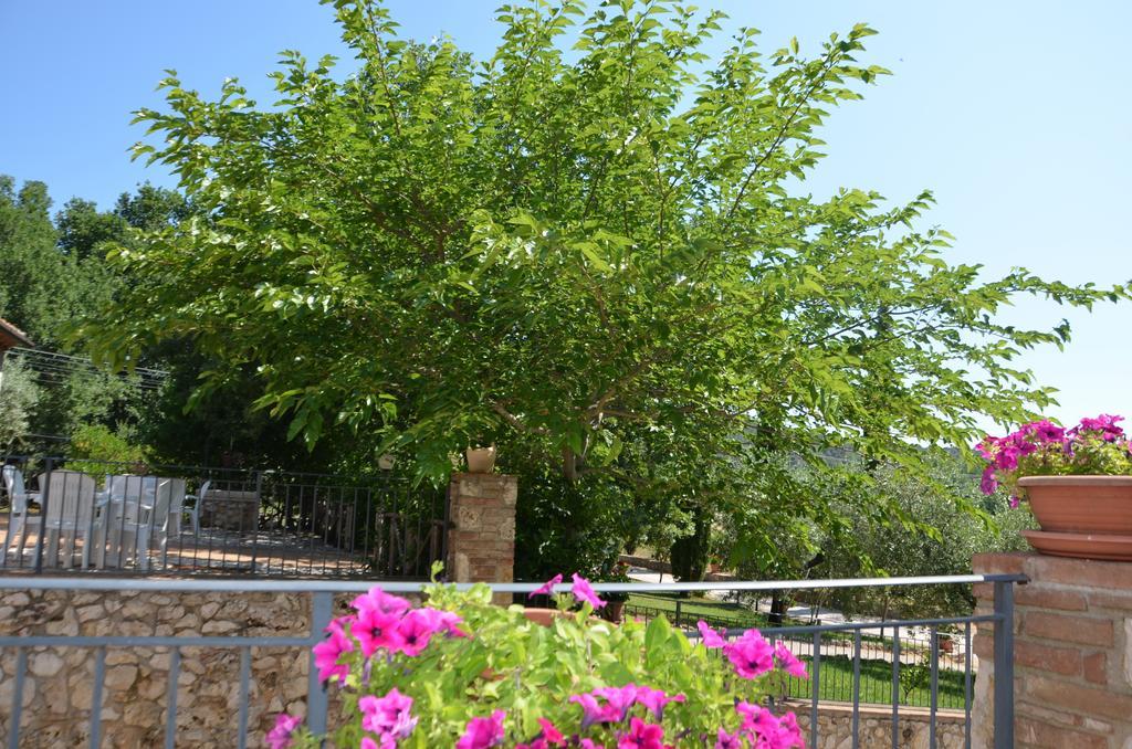 الشقق الفندقية أميليافي  Casale Santa Caterina المظهر الخارجي الصورة