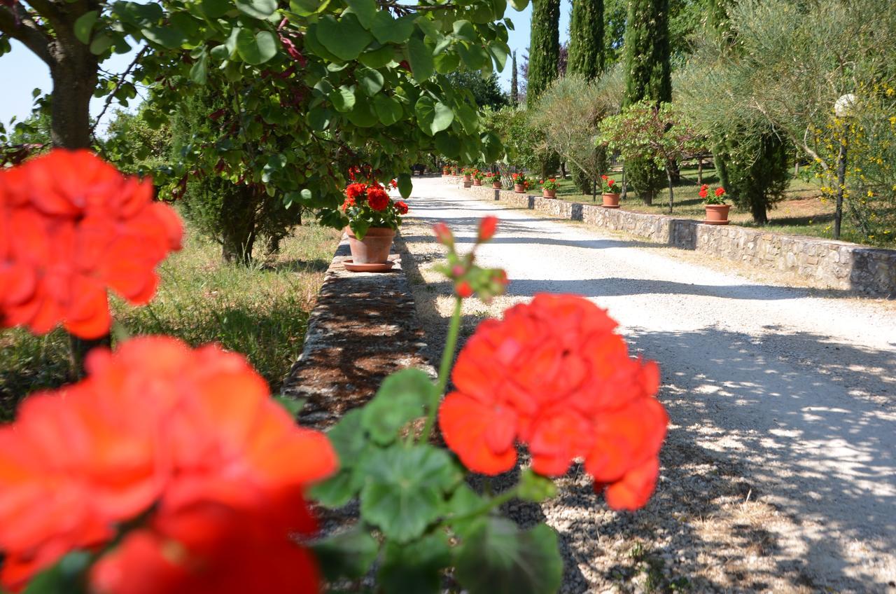 الشقق الفندقية أميليافي  Casale Santa Caterina المظهر الخارجي الصورة
